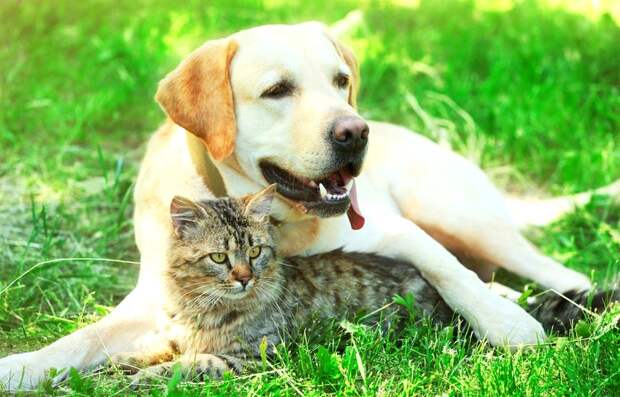 Поворот не туда... Олег Бондаренко