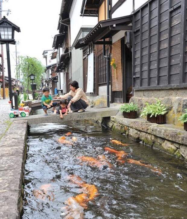 Японский город, в котором вода настолько чистая, что в водостоках живут карпы