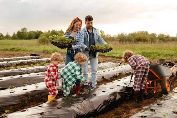 При госсподдержке многодетная семья в Поморье развернула ягодные плантации