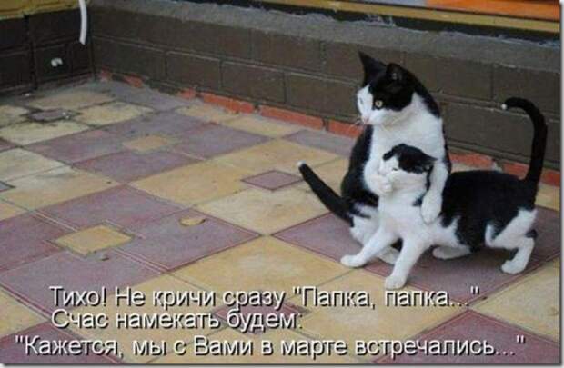 5dc83bf9409d43f0b3f702015e6_prev