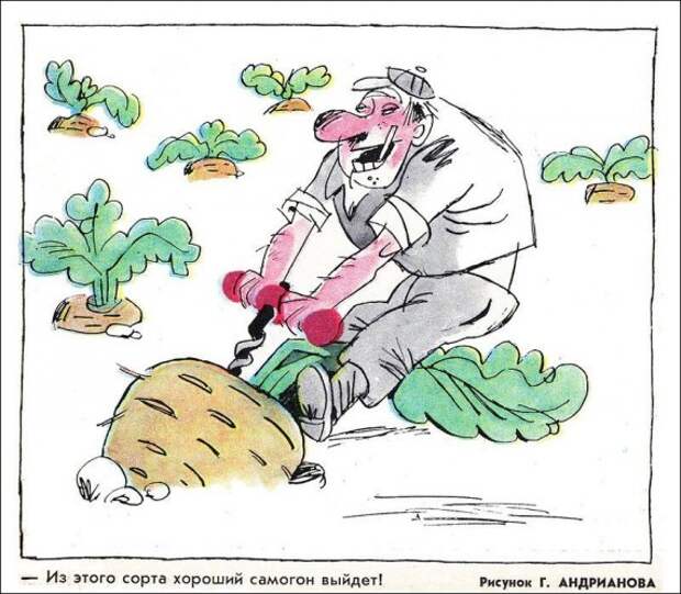 Самогонщики (23 картинки)