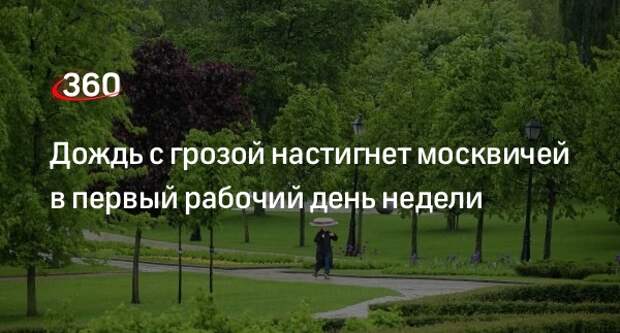 Синоптик Леус спрогнозировал грозу и до +24 градусов в Москве 10 июня