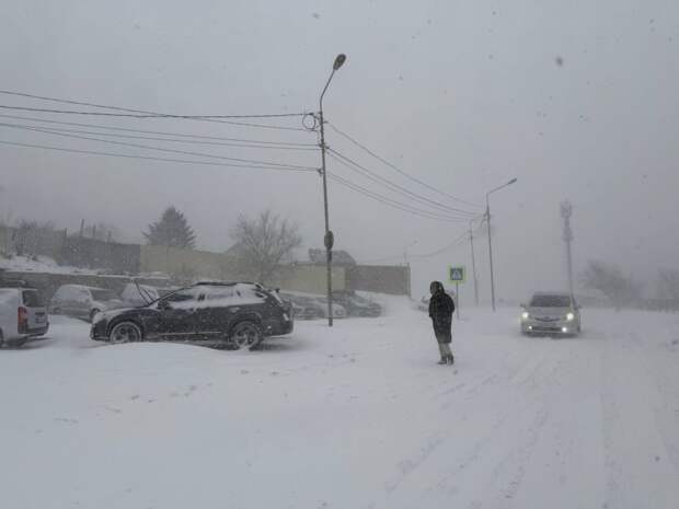 Метель и сильный ветер обрушатся на Владивосток 5 февраля