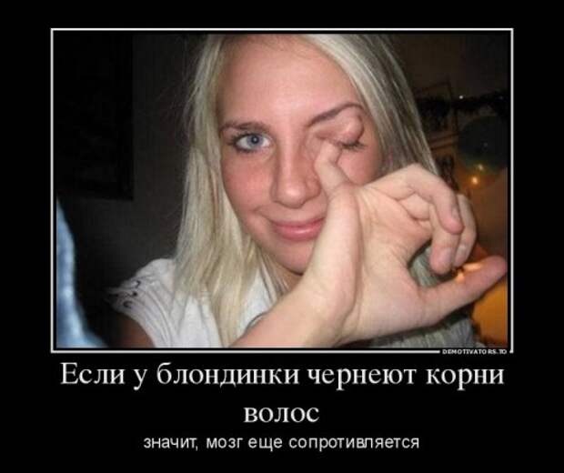 Сборник новых демотиваторов (13 шт)