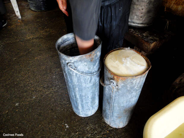 Бокс для сыра сулугуни