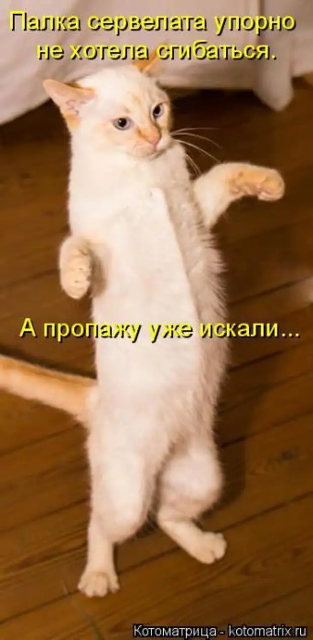 Песня опаньки. Опаньки какие люди. Опаньки какие люди картинки. Я зажрался. Ты зажрался.