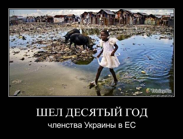 Дневник им. Anton: Интересно, а что может Укропов заставить задуматься?
