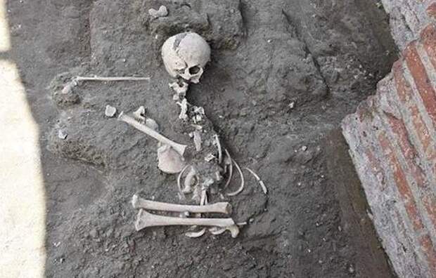В Италии нашли кобылу - ровесницу Христа археологи, археология, древние артефакты, история, наука, помпеи, раскопки, ученые