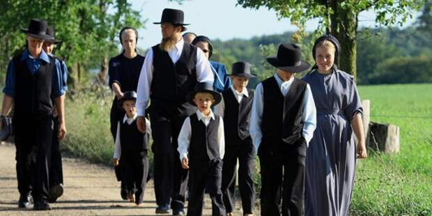 15 интересных фактов об амишах - одном из самых известных религиозных меньшинств