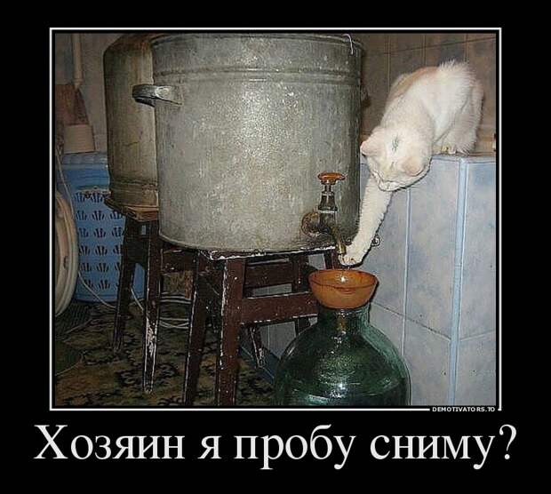 Демотиваторы бревно, демотиваторы, юмор