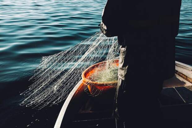 Восьмерых рыбаков-нарушителей накажут в Омской области