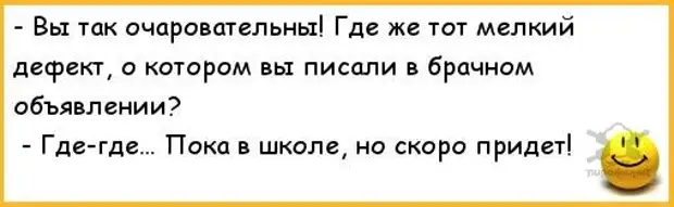 Шутки 7 букв. Анекдот приходит жучка с внучкой в зоомагазин. Анекдот про семью полицейских. Анекдот куда вам. Анекдот про семью где кот депутат.