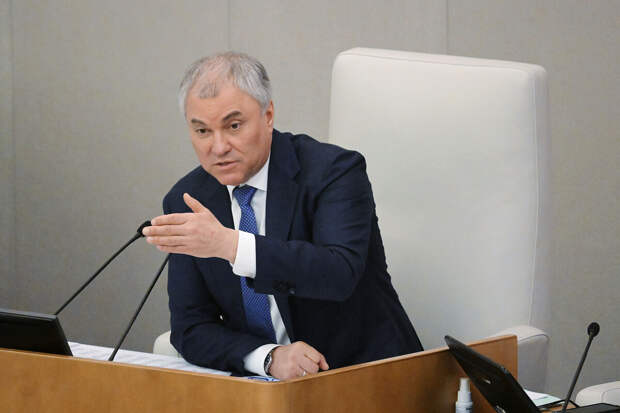 Володин рассказал об увеличении с 1 января штрафов за навязывание допуслуг