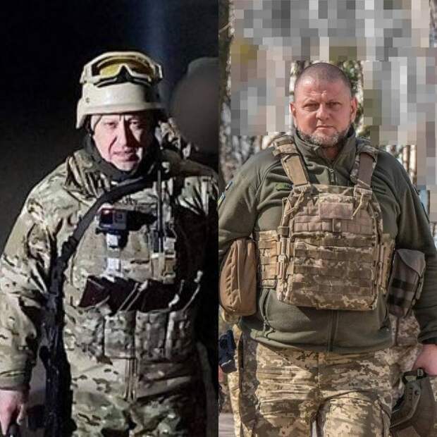 залужный залужный