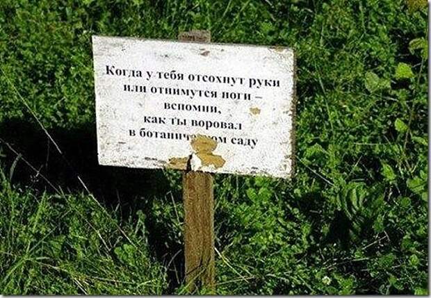 Шедевральные надписи и объявления