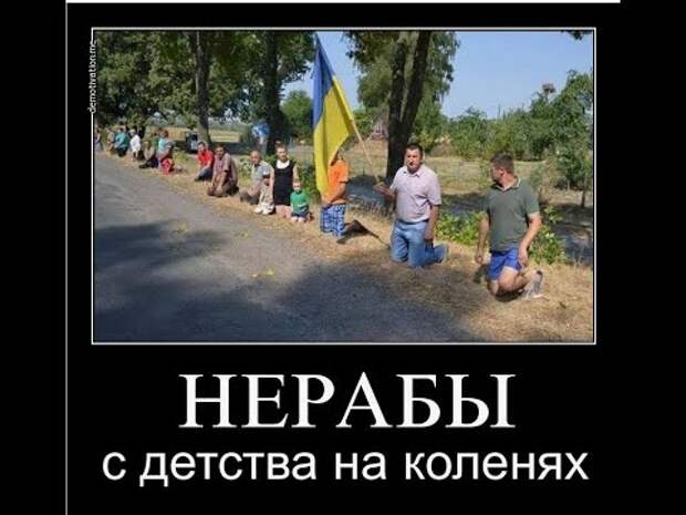 «Нас нагибают, имеют, унижают! Украина – терпила!» – майданый философ 