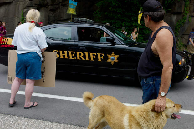 Россиянин описал законы в штате США фразой «вы это вообще читали, когда принимали?»