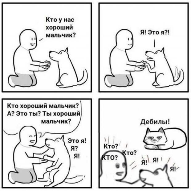 Лучшие мемы, истории и картинки из Сети