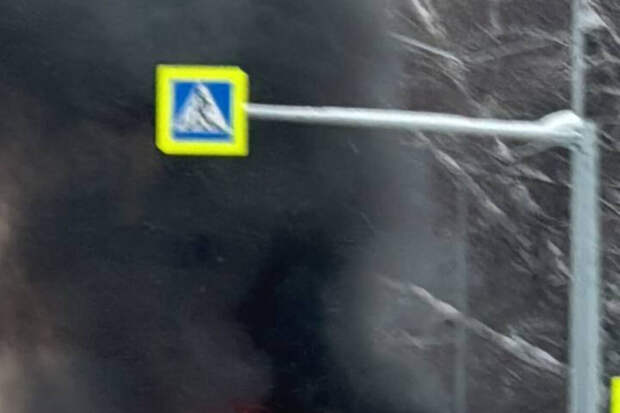 В Новосибирске на видео сняли авто, вспыхнувшее на дороге