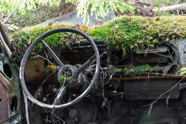 24 фото, доказывающих, что самая большая сила на Земле - природа, а не люди