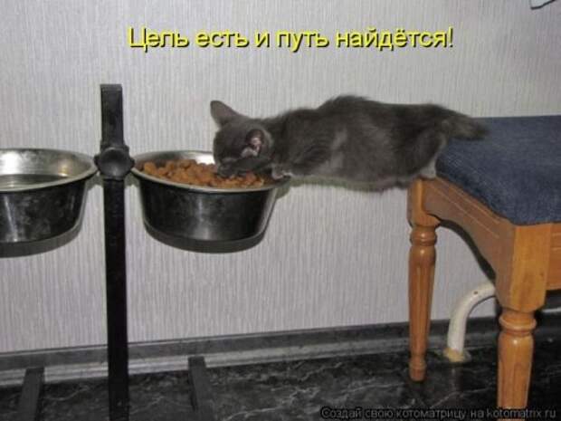 Забавные котоматрицы