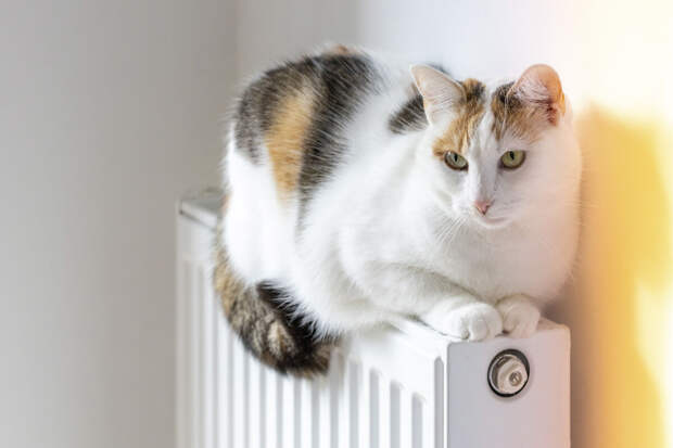 Бирюков: система теплоснабжения Москвы переведена на минимальные значения