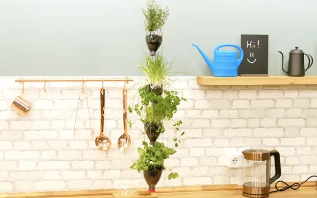 Восемь хитростей для выращивания комнатных растений.  Лайфхаки для любителей цветов
