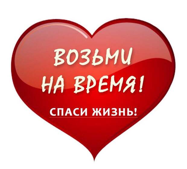 Мега SOS!!! Малыши в очень плохом состоянии... Они скоро погибнут.. Умоляем, помогите1