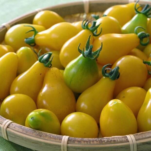 sladkie_sorta_tomatov6