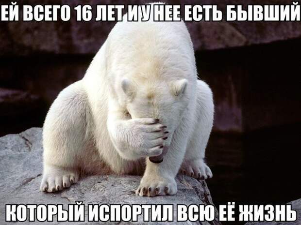 Похожее изображение