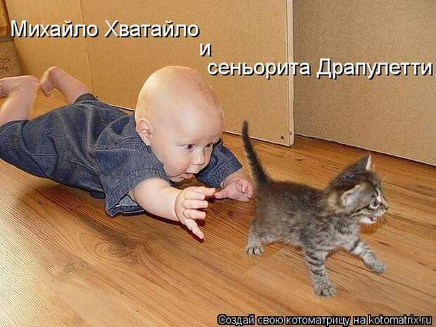 Лучшие котоматрицы недели (50 фото) Лучшие котоматрицы недели (50 фото)