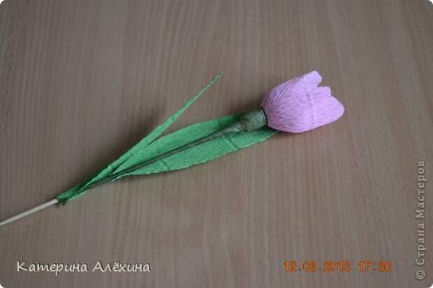Мастер-класс Свит-дизайн Бумагопластика МК тюльпан с конфеткой Бумага гофрированная фото 1