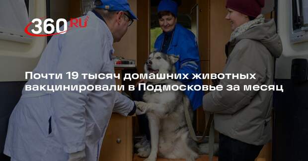 Почти 19 тысяч домашних животных вакцинировали в Подмосковье за месяц