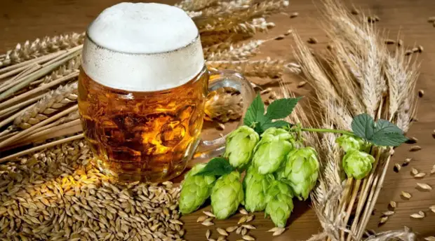 Дешевое и всем доступное средство для здоровой рассады