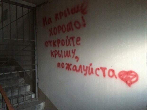 Соседи делятся впечатления о проживании друг с другом Соседи делятся впечатления о проживании друг с другом записка, объявление, подъезд, прикол, соседи, юмор