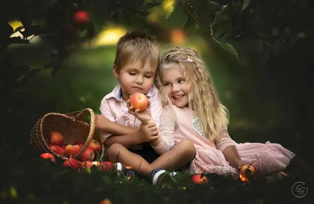 �������������� ������������ �����