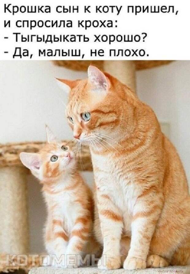 Тыгыдык