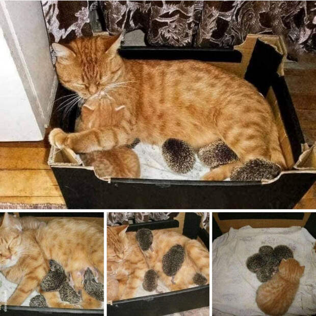 позитив
