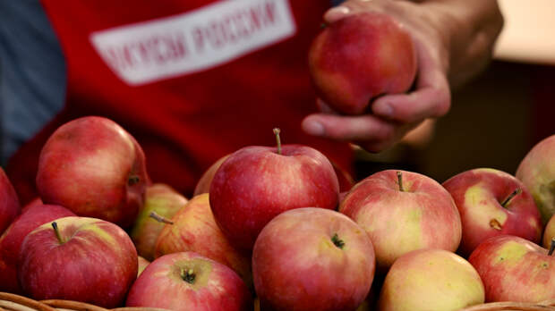 Из Афганистана в Россию привезли 50 тонн кандагарских яблок, сообщили СМИ