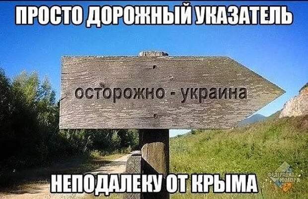 «Синица в журавле». Вокабулярная война Украины за виртуальные границы