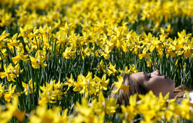 Весна за окном Весна за окном