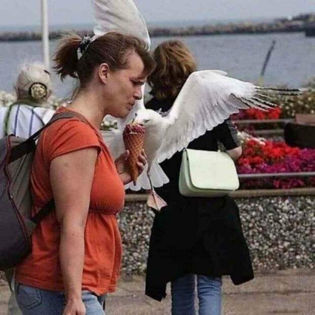 20 самых глупых жизненных ситуаций, которые могут испортить отдых 20 самых глупых жизненных ситуаций, которые могут испортить отдых