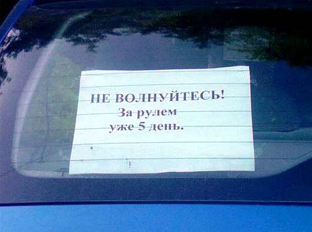 Пять дней - это большой срок! | Фото: AliTrack. Пять дней это большой срок Фото AliTrack