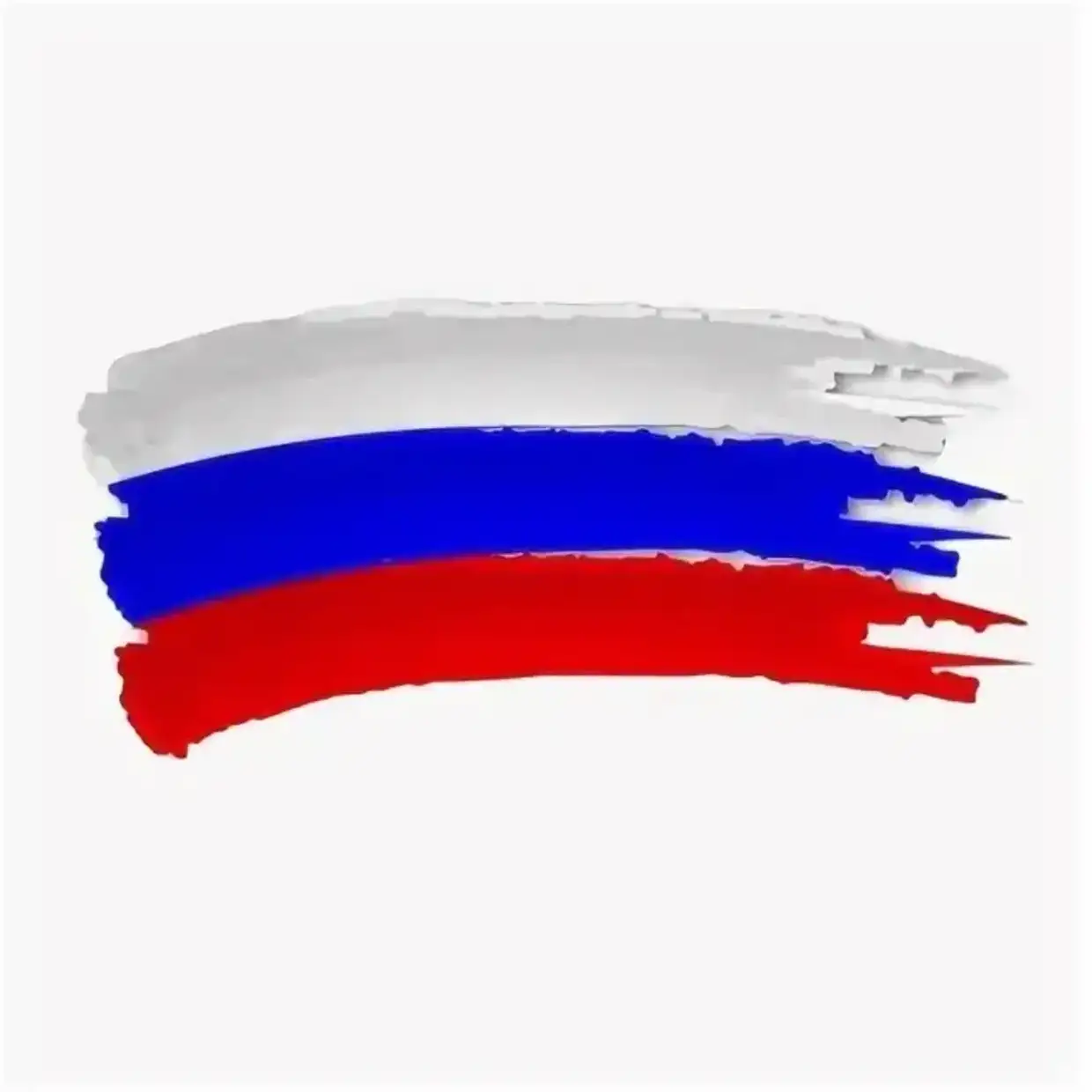 маша бабко цп Лесной журнал