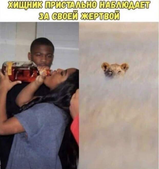 Лучшие шутки и мемы из Сети