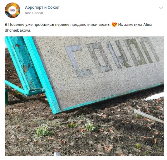 Фото дня: предвестники весны показались в поселке Художников