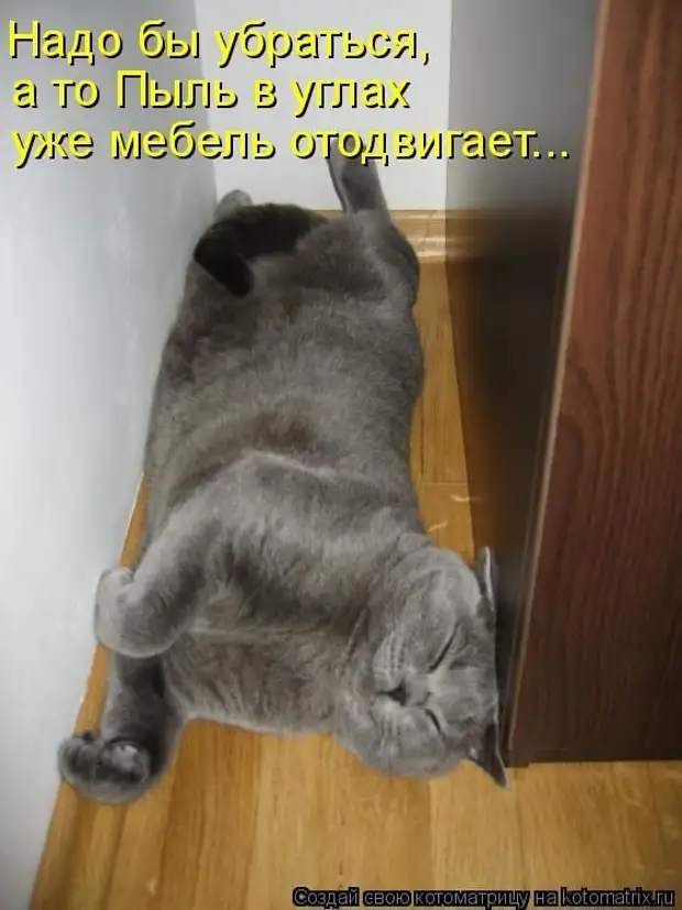 Лучшие котоматрицы