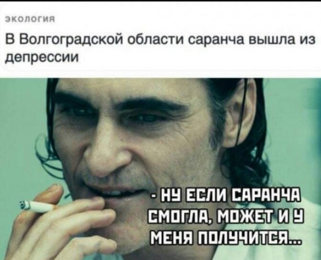 Рассмешите своих друзей: лучшие прикольные картинки и мемы.