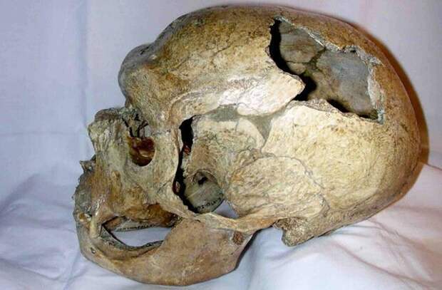 Неандертальцы были довольно умны Неверные представления, история, факты