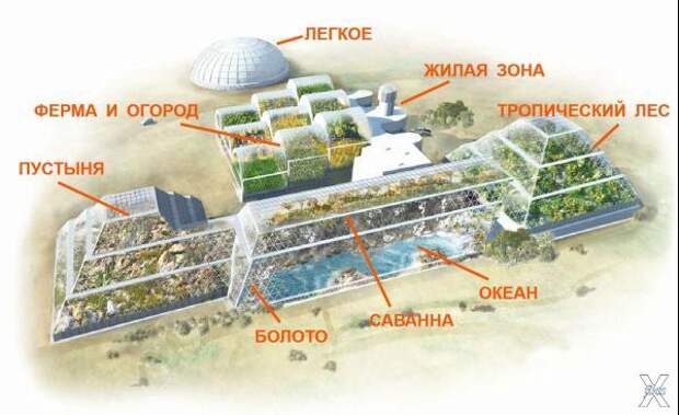 Один из самых неудачных проектов человечества: "Биосфера-2"